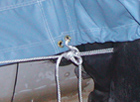 sailboat cover with draw cord