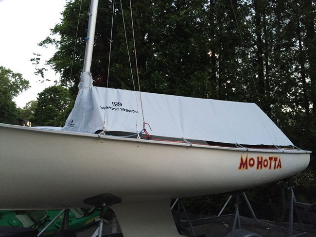 Rhodes 19 Cockpit Cover